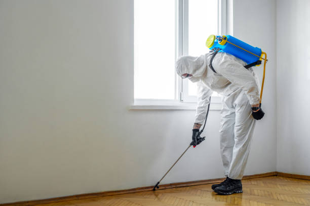 Best Pest Control Near Me in Bonney Lake, WA