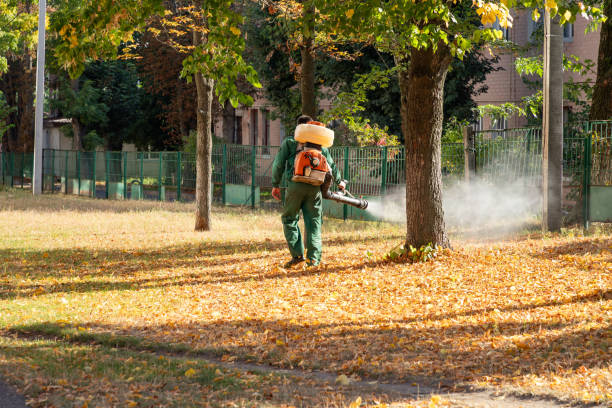 Best Commercial Pest Control Services  in Bonney Lake, WA